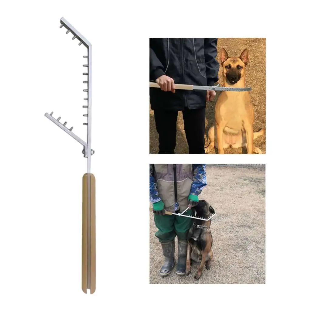 

Оборудование для дрессировки собак на шесте, легкое, прочное, портативное для дрессировки щенков