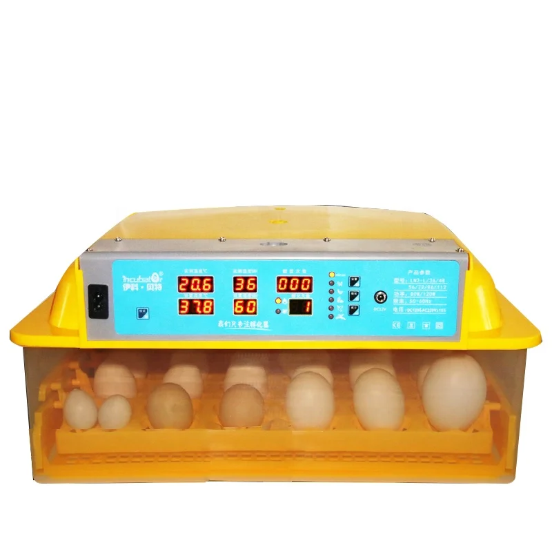 

Mini 56 Egg Incubators Turkey OEM Chicken Quail Duck Eggs Incubator For Hatching Eggs On Sales