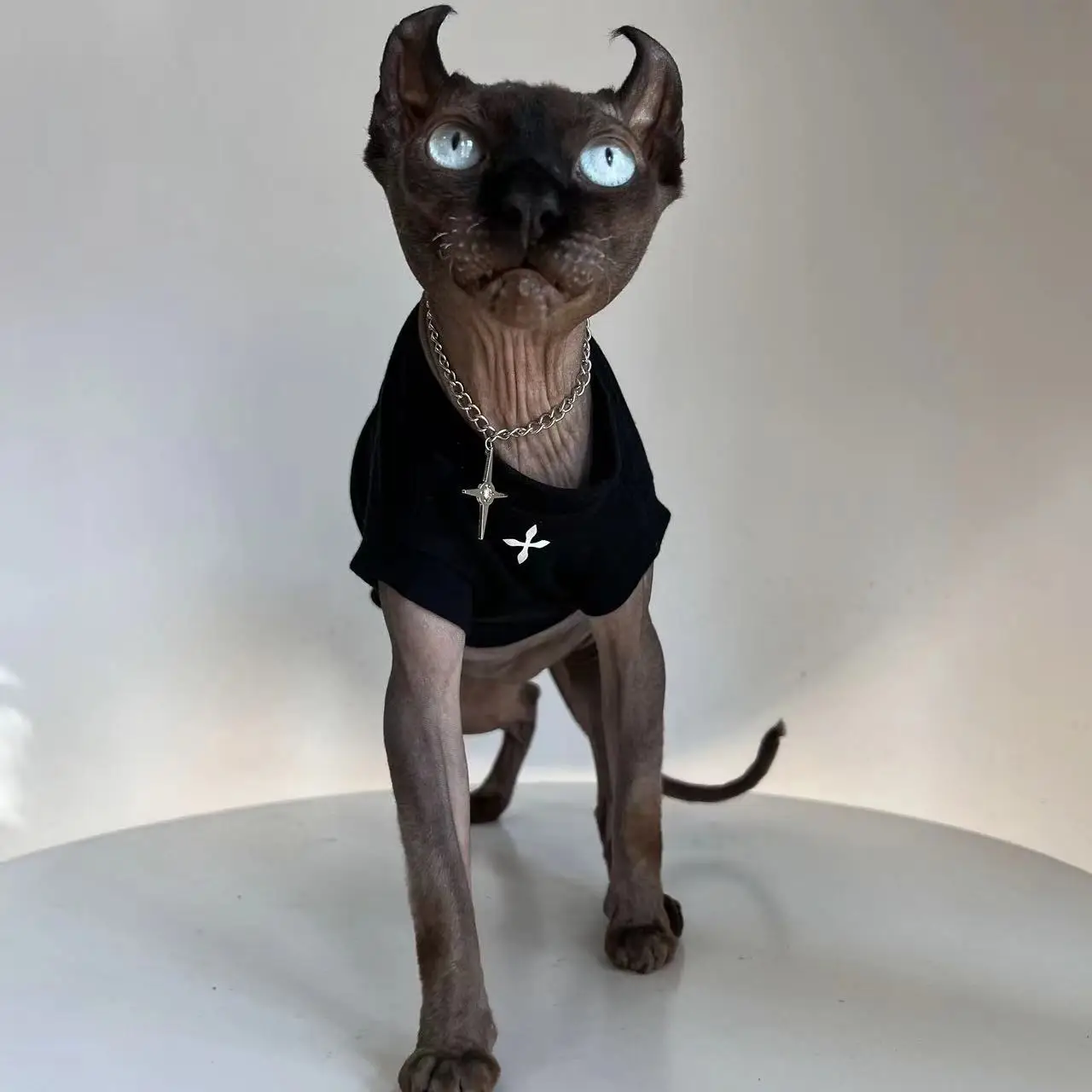 Fashion Cotton Vest for Sphynx Cat Clothes Black White Shirt Short Sleeves for Kittens Soft Coat for Devon Rex Costume in Summer