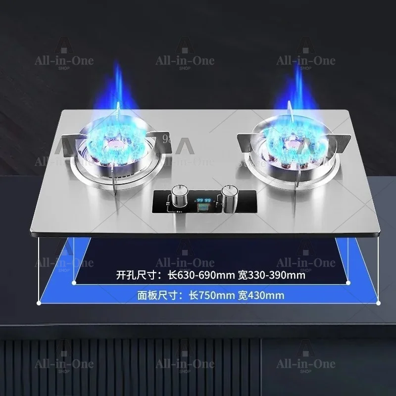 Dual Burner Gas Stove Embedded Desktop 2 in 1 Timing For Natural Gas LPG Kitchen Built-in Gas Hob