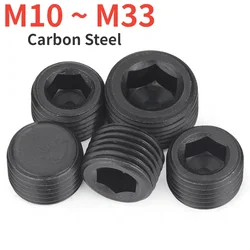 M10 M12 M14 M16 M18~M33 Grade 12.9 Black Zinc Plated Carbon Steel Hexagon Socket Screw Standard BSP Hexagon Socket Plug Screw