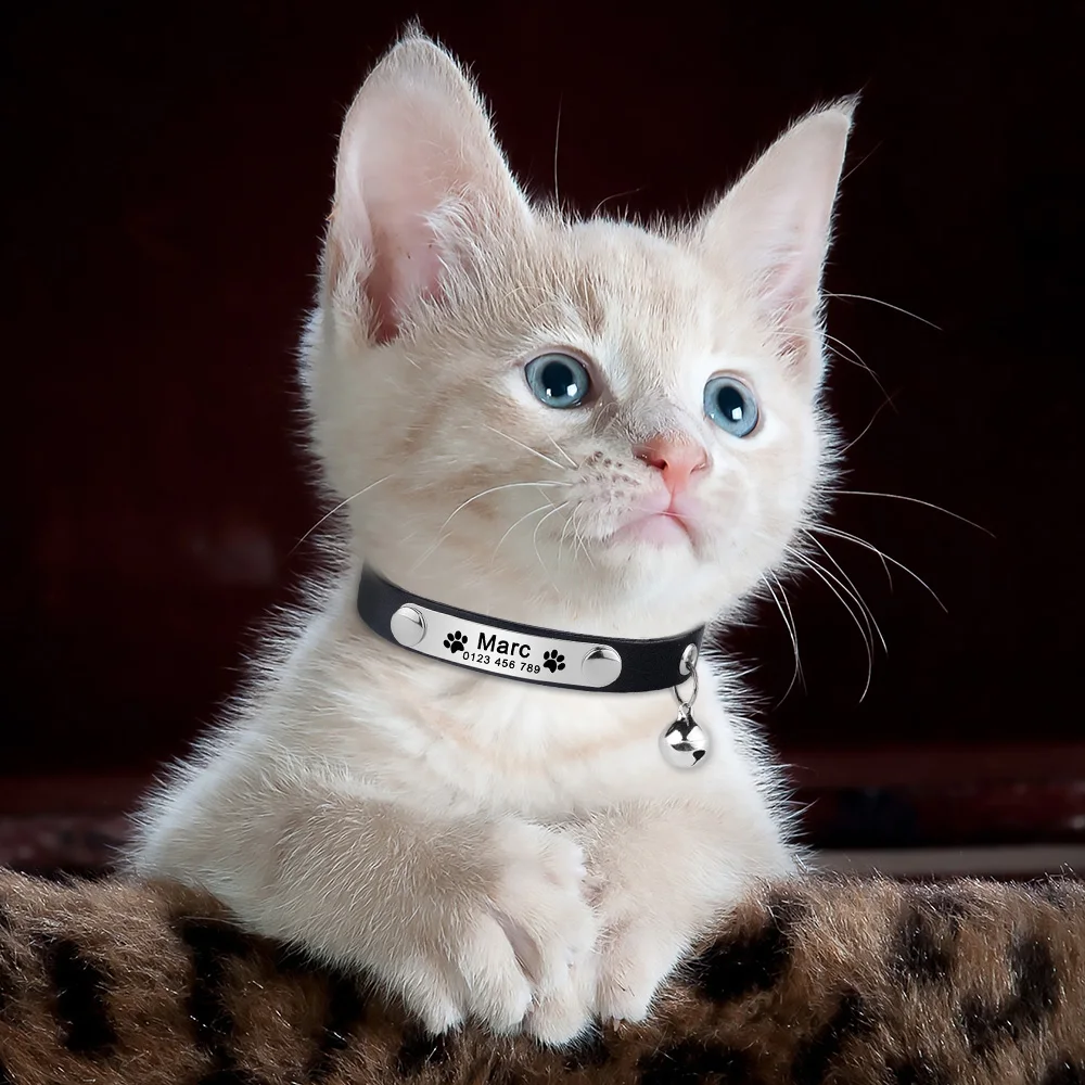 Collar de gato de cuero grabado personalizado con nombre personalizado, collares ajustables antipérdida de Pu, accesorio personalizado para gato