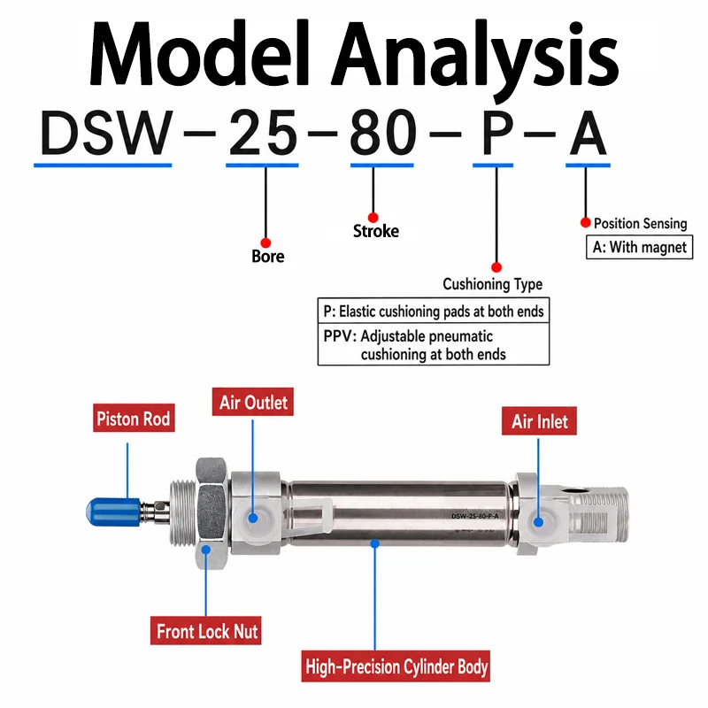 DSW ISO 6431 Edelstahl-Rundluftzylinder DSW-32-40-50-63-75-80-100-P-B Roundline Luftzylinder 25-300mm Hub – Detail 1