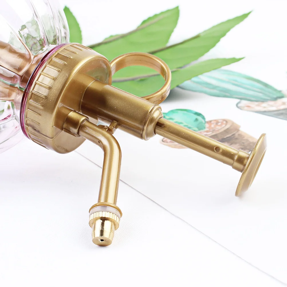 Bottiglia spruzzatore a forma di zucca in plastica viola Bottiglia di fiori per irrigazione a pressione manuale vintage di piccole dimensioni per piante da giardino