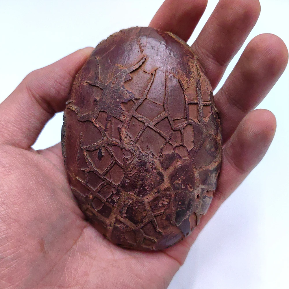 pierre-suiseki-asiatique-decorative-pour-la-maison-collecte-naturelle-de-pierres-naturelles-en-cristal-moire-cadeau-pour-hommes-–-decorativas-piedras