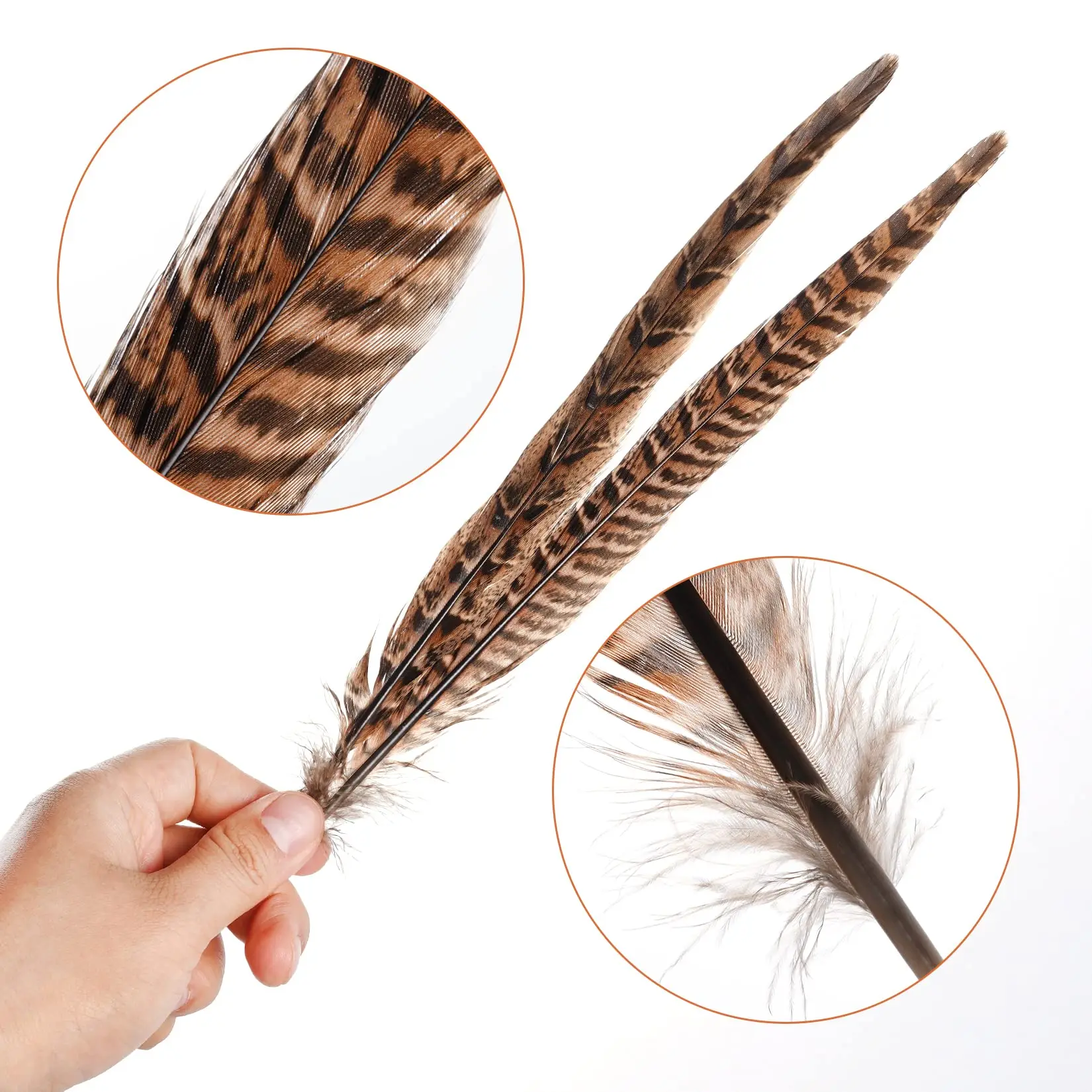 10Pcs 25-30CM Natural Hen Pheasant Tail Feathers Beautiful Plumes for DIY Headdress Jewelry Handicraft Festival Decoration