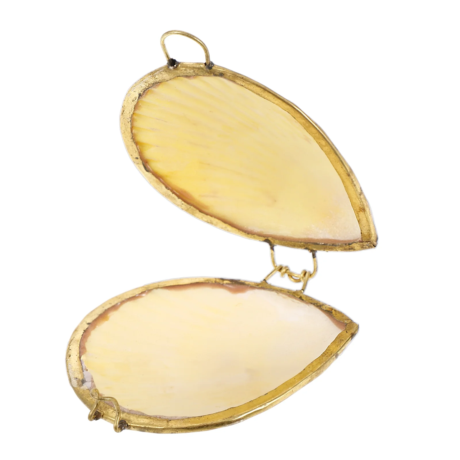 

Shell Jewelry Box Storage Case Seashell Holder Seashell-shaped Container Hinged Jewellery Boxes