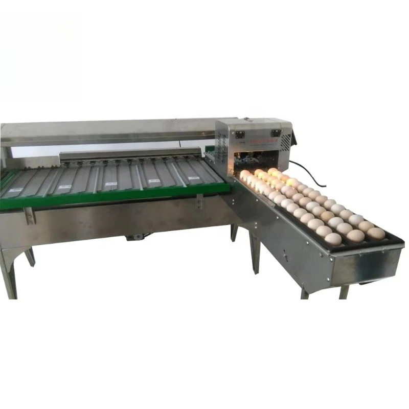 Customized Grading Standards Chicken Egg Weight Size Sorter Classify Automatic Small Scale Grader Sort Egg Grade Machine