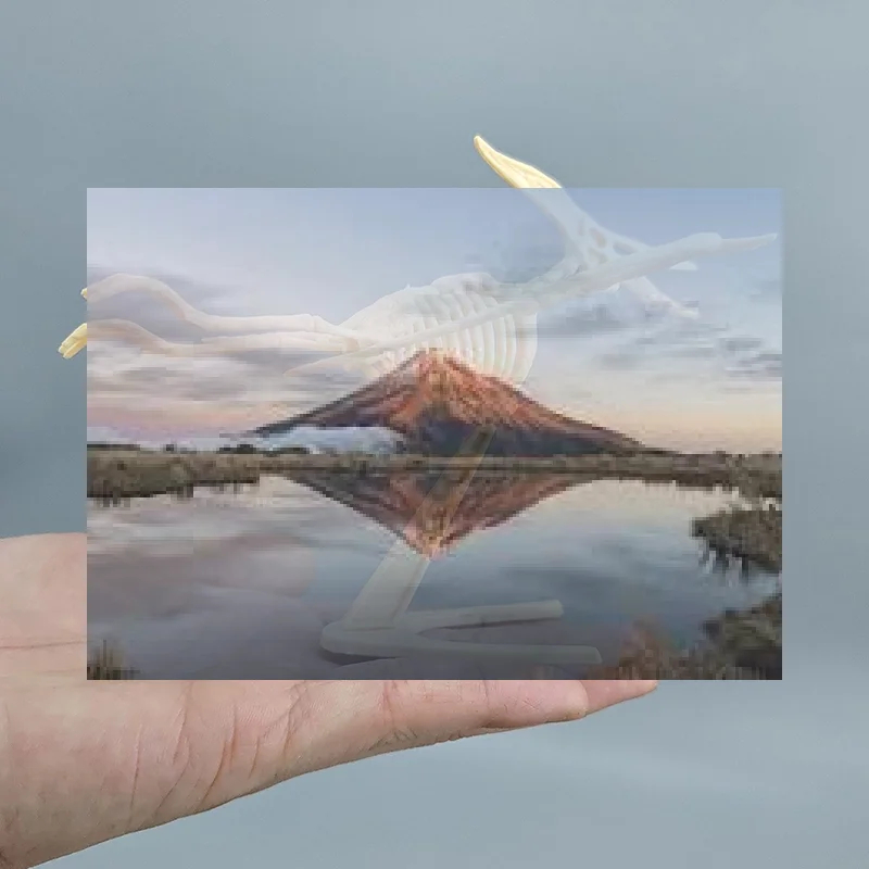 

**1Set Kid Toy DIY Assembly Jurassic Dinosaur Fossil Skeleton Mosasaurus Tyrannosaurus Action Figure Collection Creative Model"