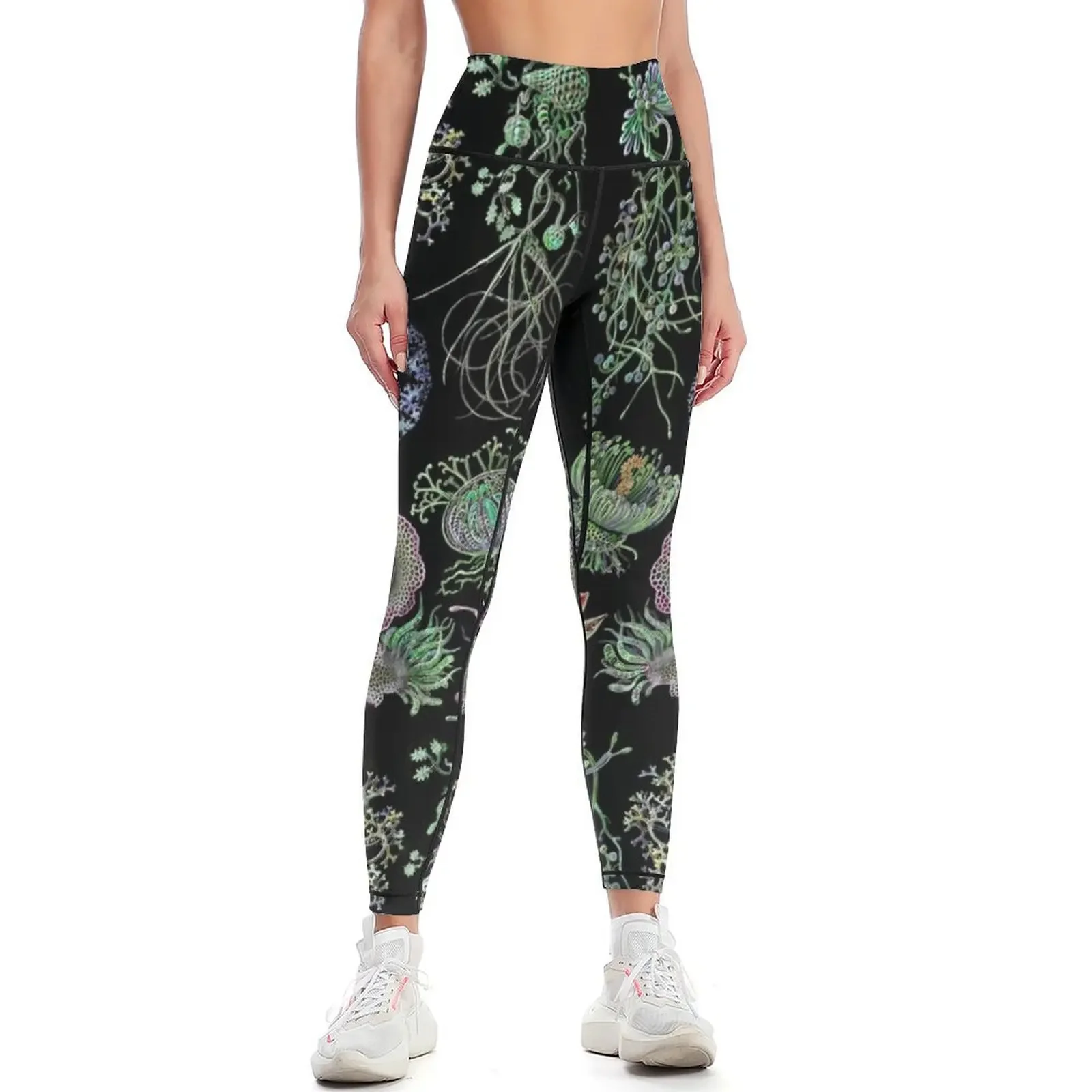 Art Forms of Nature Fungus-Ascomycetes Leggings Legging sport push up fitness high waist legging push up Womens Leggings