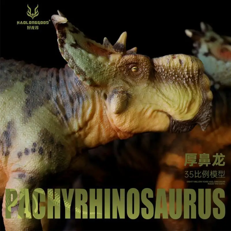 HaoLongGood Pachyrhinosaurus Triceratops Jurassic Dinosaurs Children's Toy model 1/35