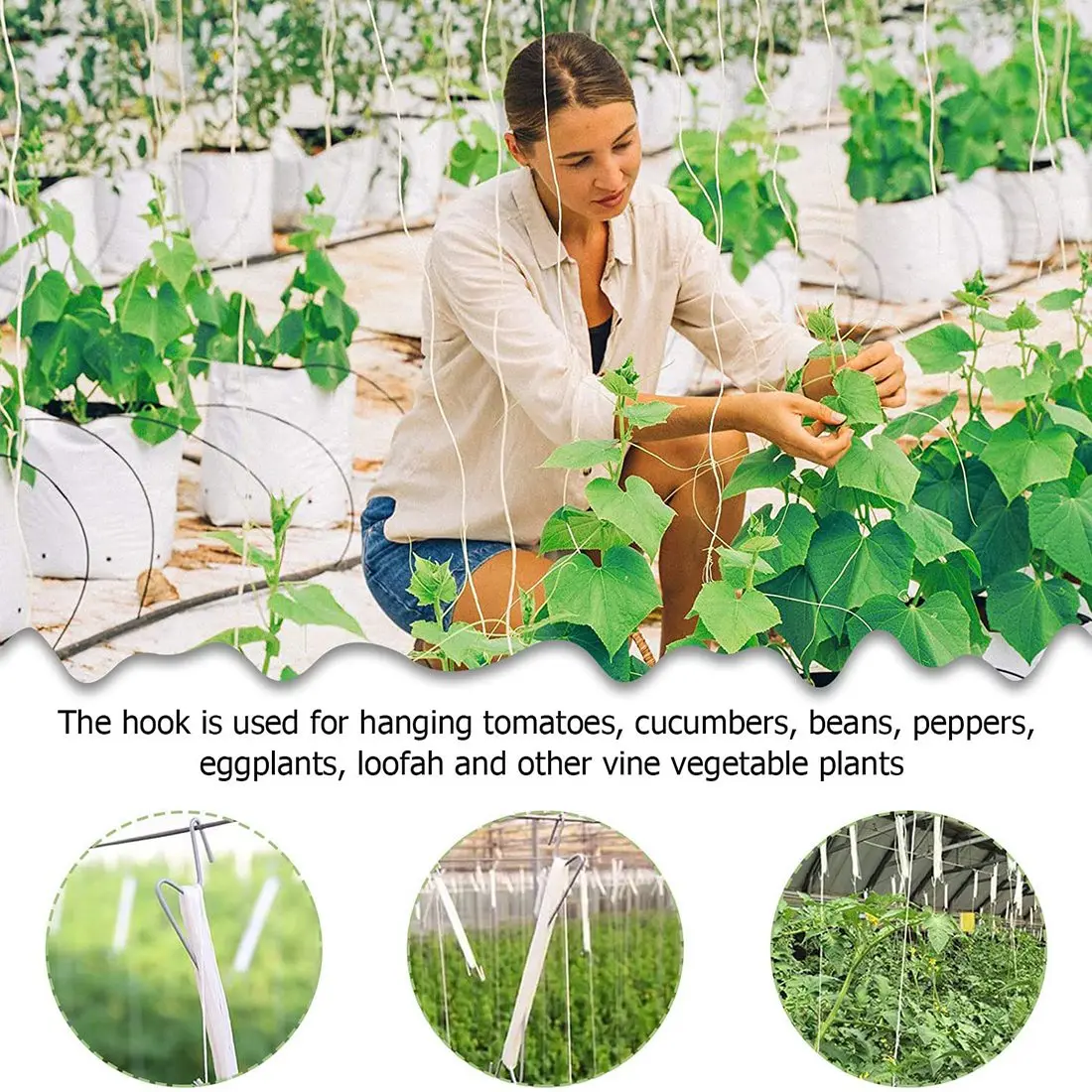 ETRT 10 قطع خطافات الطماطم المعدنية المضادة للسحق خطافات الحديقة خطاف الطماطم النباتية يدعم زراعة الطماطم والكرز ونباتات الكرمة وما إلى ذلك