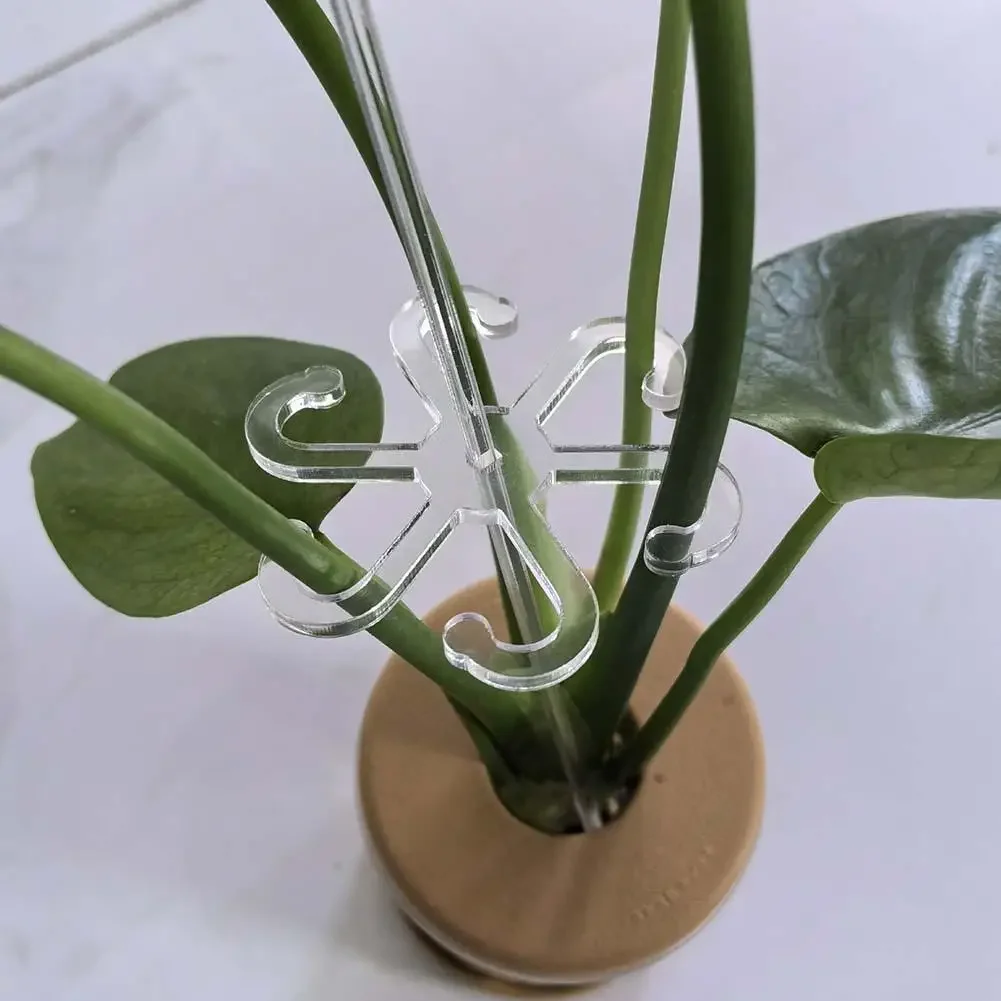5pcs Clear Acrylic For plant Support Brackets for Garden and Indoor Use to Maintain For plant Structure During Active Growth