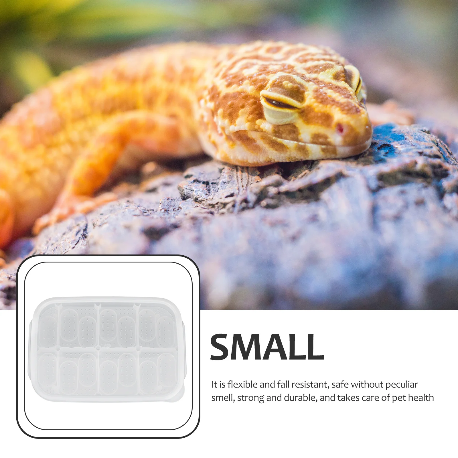 

14-Hole Reptile Egg Hatchery Box Premium Plastic Durable Incubator for Snakes Lizards Geckos Professional Breeding