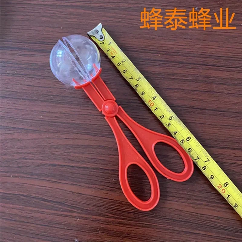10pcs/30pcs Beekeeping Equipment Apicultura Apiculture10pcs Scissors-type Queen Bee Trap To Catch Queen Bee