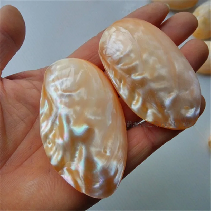 

Ракушки, ремесла, жемчужные ракушки, подарки родителей, ракушки для моря, пляжный декор, Морской Декор для дома