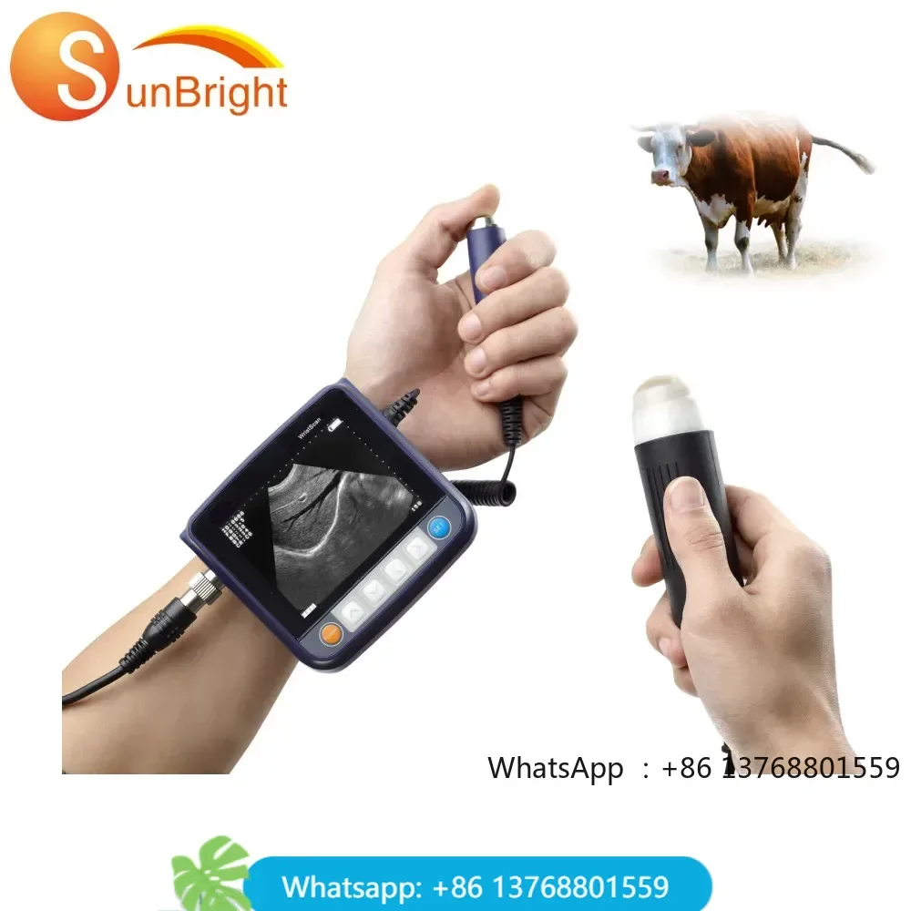 Animal Veterinary Handheld Ultrasound Scan Lowest Price Vet Veterinary Wrist Ultrasound Scan