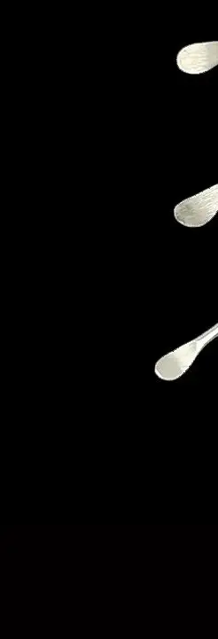 

Dental Scaler Gracey Periodontal Curette Bone Curettes Perio Instrument Tool for Scaling Root Planing and Gum Therapy