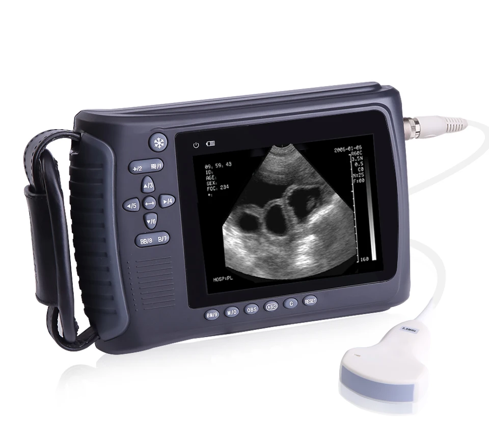 Cheap Ipad animal use portable ultrasound scanner machine price