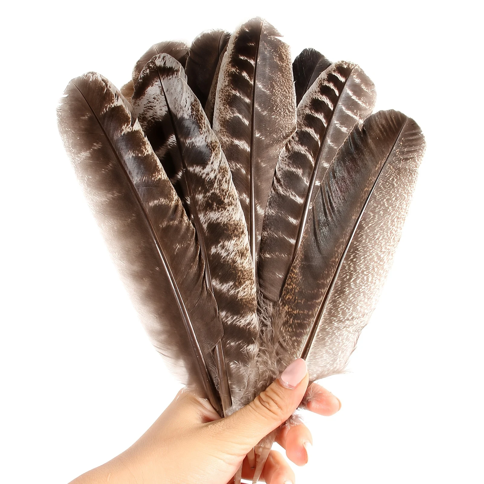 

20pcs Turkey Feathers Natural Striped Brown White Feather for DIY Crafts Handmade Projects Home Decoration Wedding Party Feather