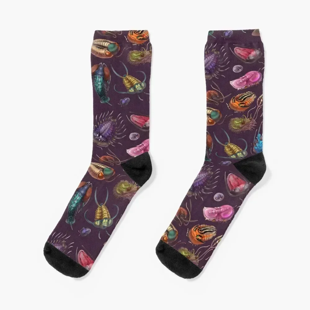 Trilobites Socks Hiking boots halloween christmas gifts Socks Woman Men's