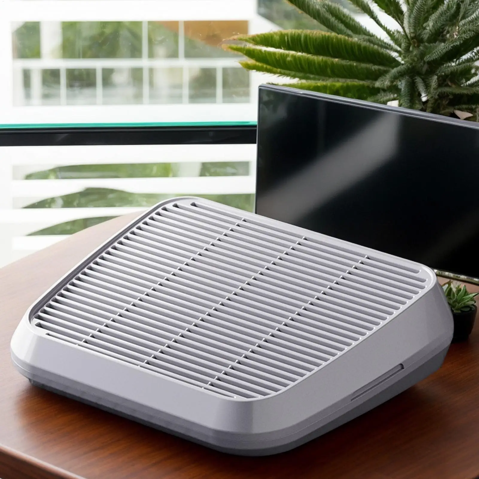 Cat Litter Ramp Ant…