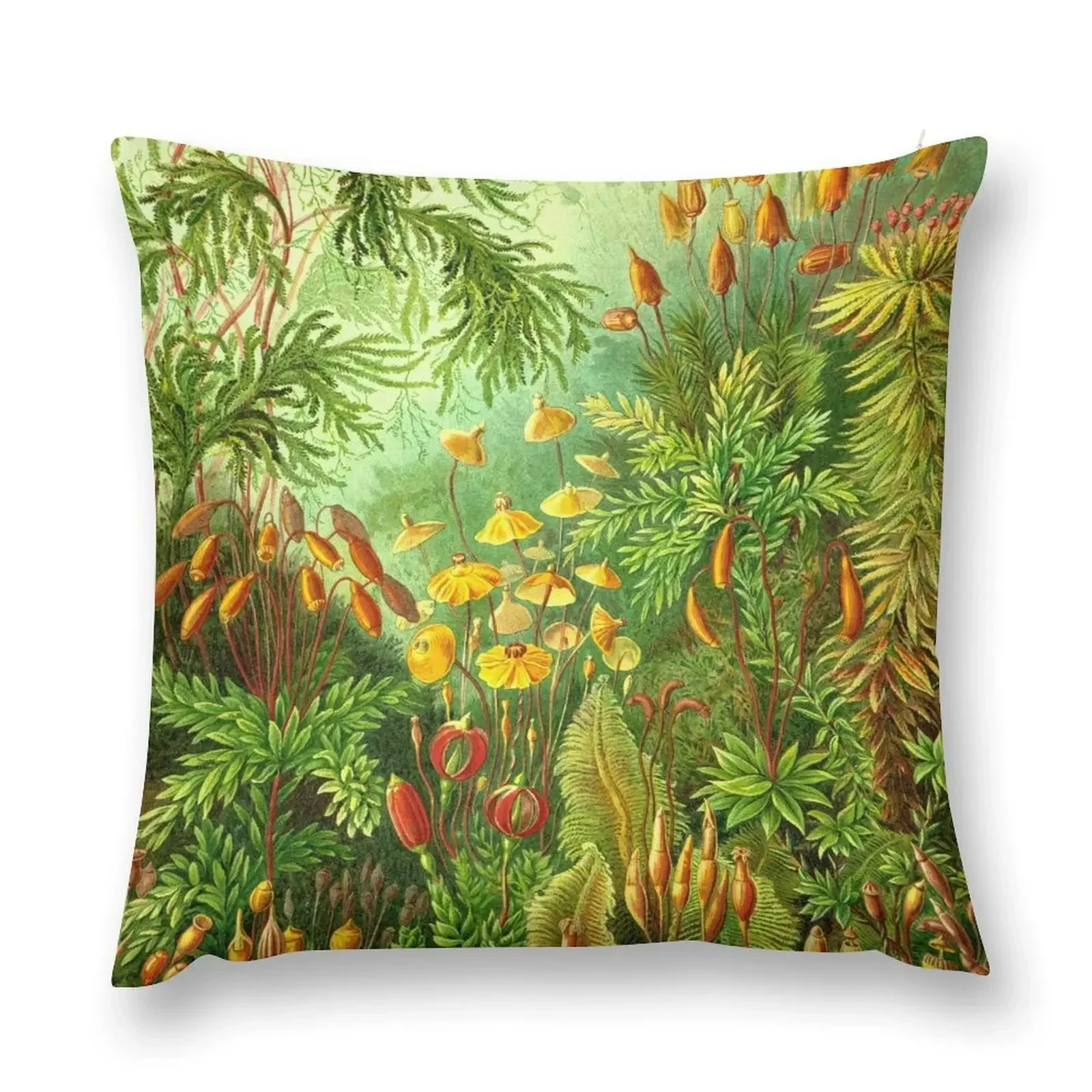 

Moss - Ernst Haeckel Throw Pillow Decorative Sofa Cushion Cushions For Children pillow