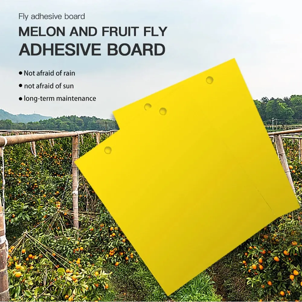 10 Pieces/set Fruit Fly and Slime Board Insect Traps, Fruit Orchard, Melon Garden, Farm, Household Insect Traps