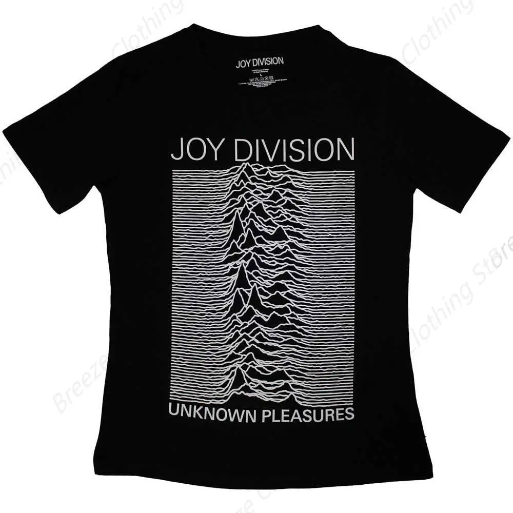 Joy Division Unknow… - image