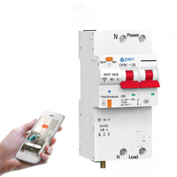 2P 25A 32A 40A 63A 100A AC230V TUYA Smart WIFI Metering Circuit Breaker automatic switch Leakage Protection kWh Meter