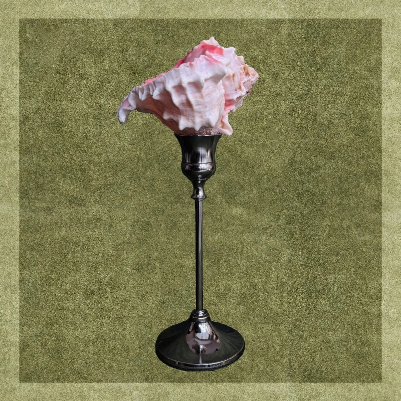 ensemble-de-flutes-a-champagne-en-coquillage-rose-–-verres-a-vin-artistiques-faits-a-la-main-cadeau-de-noel-unique-decoration-de-table-elegante-et-accessoire-de-photographie