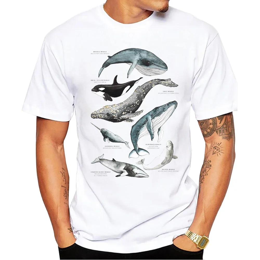 TEEHUB-T-Shirt à Manches Courtes pour Homme, Streetwear Décontracté, Vintage, Requins Baleines, Requin, Rayons, Col Rond