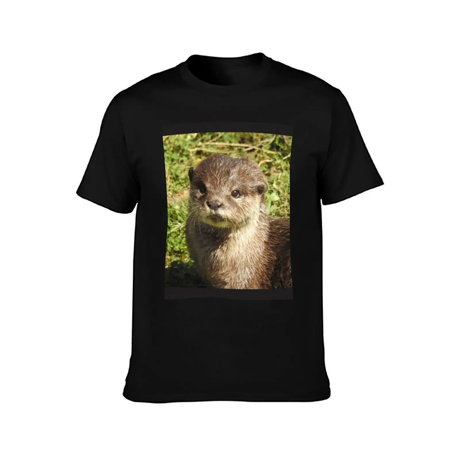 Rosie the short clawed otter T-Shirt korean fashion luxury t-shirt graphic t shirts custom shirt mens cotton t shirts