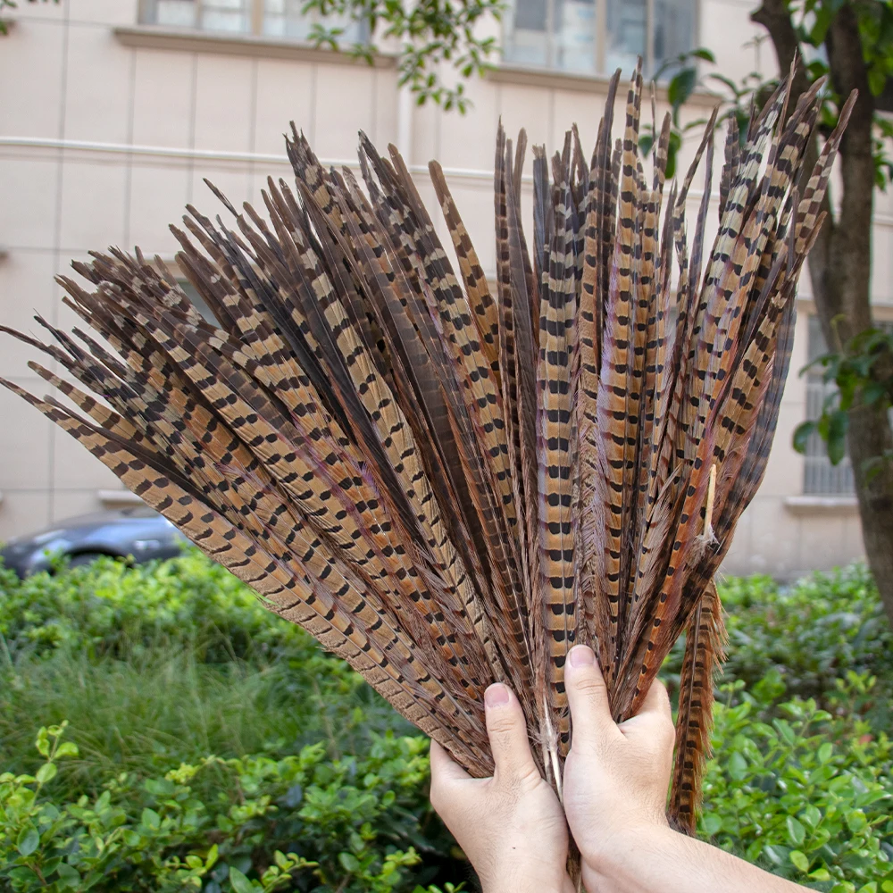 40-45cm 16-18inch Colored Natural Ringneck Pheasant Feathers for Crafts Long Large Feather Decor Carnival Accessories Decoration