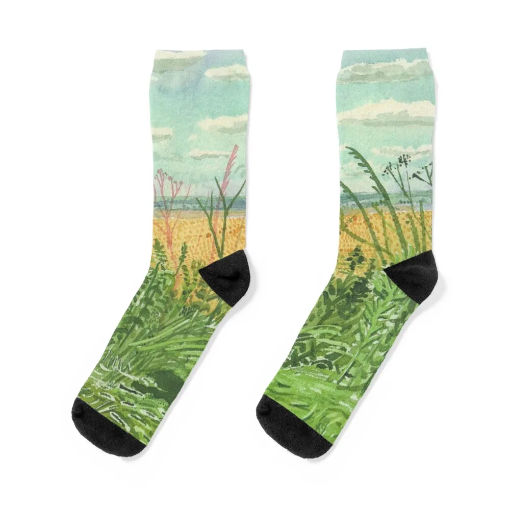 

Original David Hockney art poster Socks kawaii soccer anti-slip Heating sock custom Men Socks Luxury Brand Women's