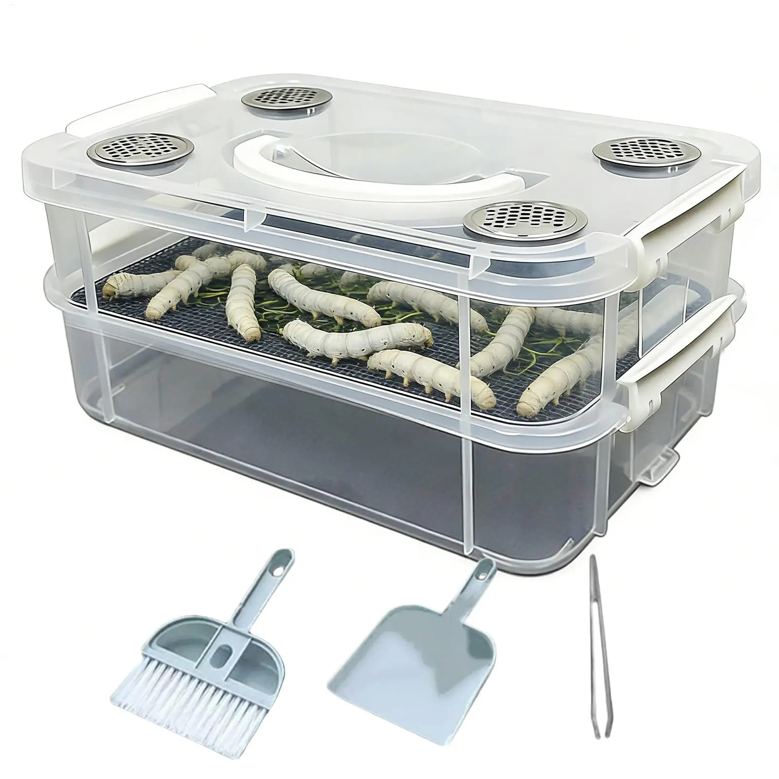 Caja de Alimentación Transparente de Doble Capa para Cría de Gusanos, Contenedor de Insectos, Separador de Alimentos, Proyecto de Biología y Educación Científica para el Aula