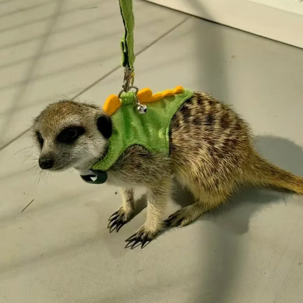 

Cute Cartoon Ferret Vest Harness Adjustable Dragon Design Hamster Chest Strap with Bell Flannel Pet Harness Leash Walking