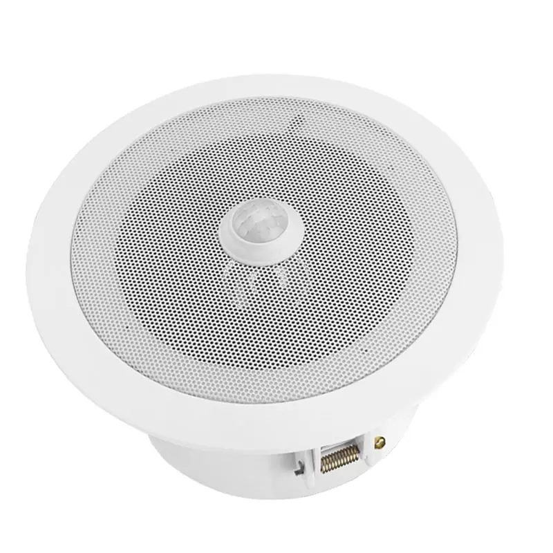 Abbg-Ceiling Speake…