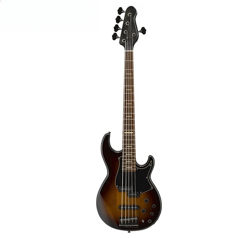 Perfect for beginner five-string bass beginners, advanced guitar, and rock performances
