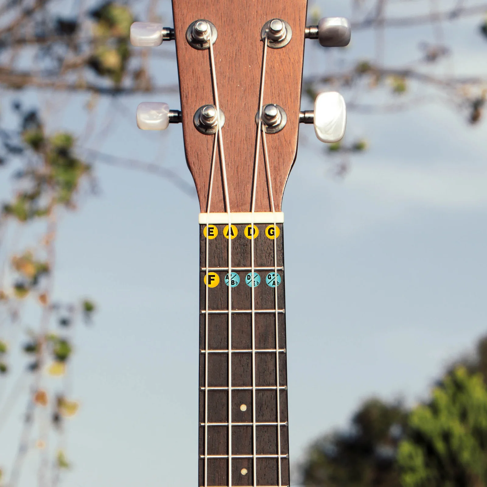 

2pcs Scale Stickers Beginners Learning Tool Fretboard Notes Decals Adhesive Bass String Marking Stickers Bass Practicing