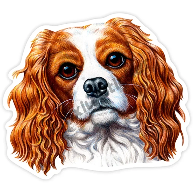 Cute King Charles Knight Hound of England Stickers Waterproof Decal Decoration Car SUV Bumper Guitar Truck Window Anti Scratch