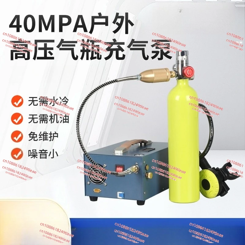 12V Car High-Pressure Air Pump 40mpa Electric Air Pump High-Pressure Inflator Air Pump 30mpa