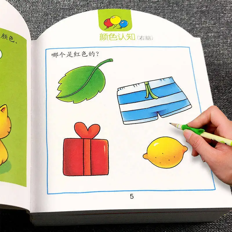 Kids Q&A Brain Training Book Left & Right Brain Development Logic Game Book for 2-6 Years Old