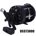 DSST30