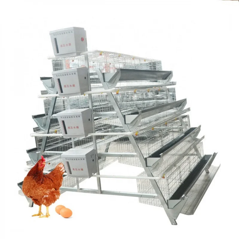 

Best Quality Good Price Laying Hens Farming Chicken Layer Battery Cage Sale