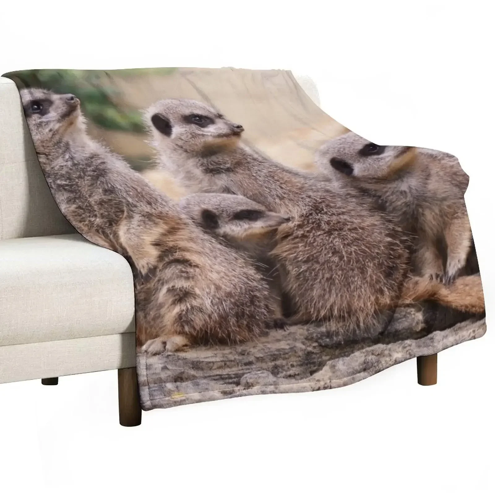 Meerkat family Throw Blanket bed plaid Large Cute Plaid Blankets