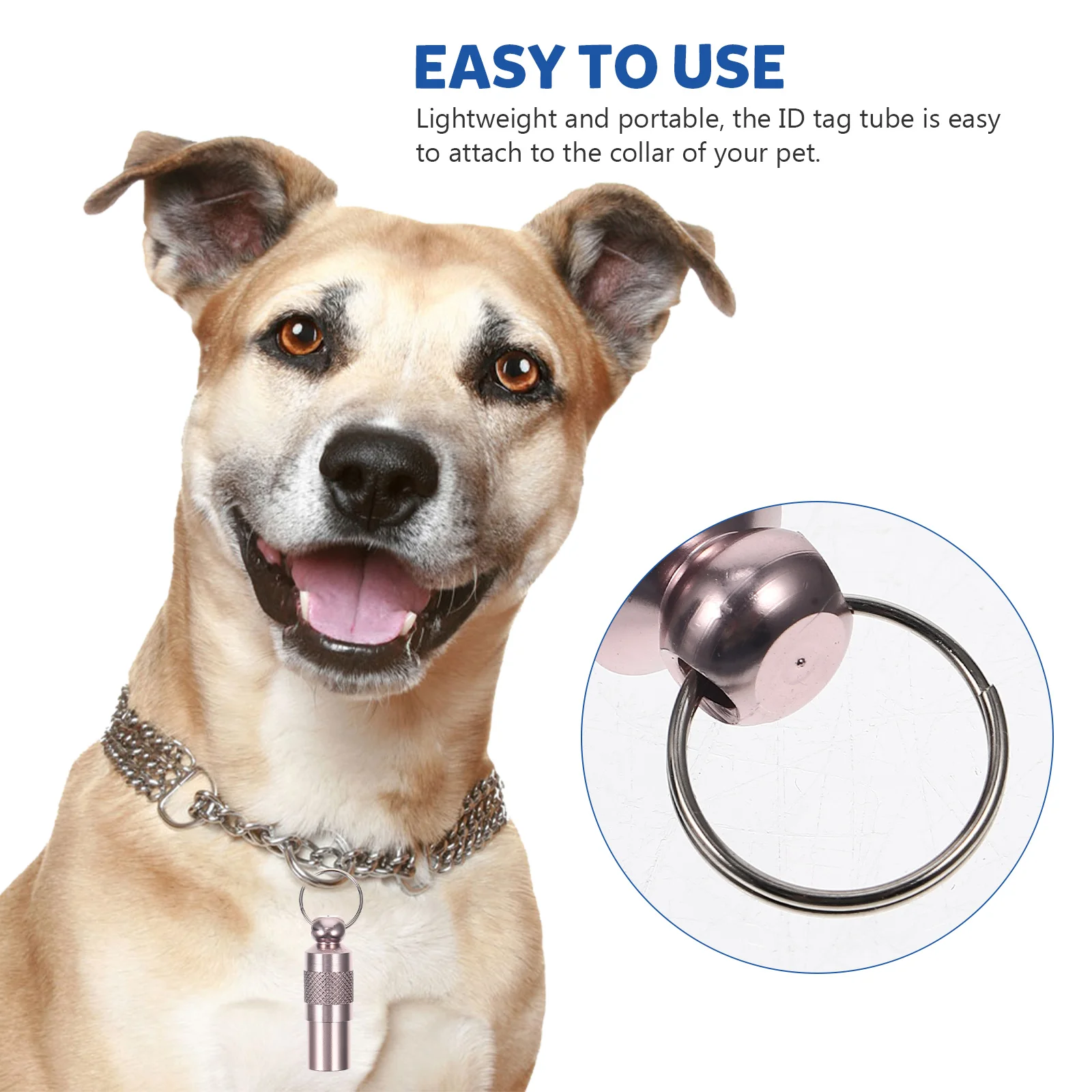 

6Pcs Anti Lost Pet Id Tags Lightweight Dog Cat Collar Name Address Tag Personalized Dog Name Tag Cat Tags Personalized Small