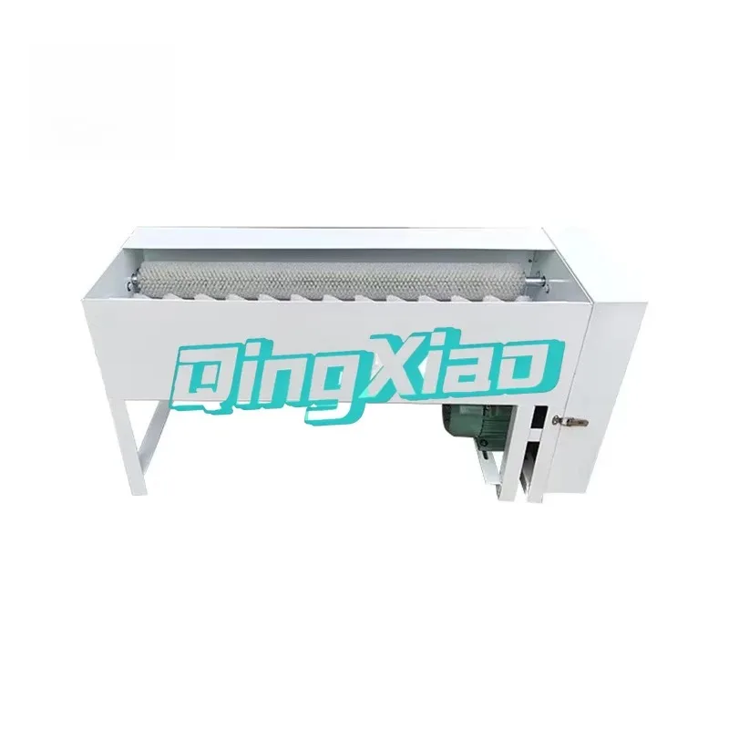 Brush Washing Egg Cleaner Machine Salted Duck Egg Cleaning Machine Food Machine and Supporting Equipment view 2