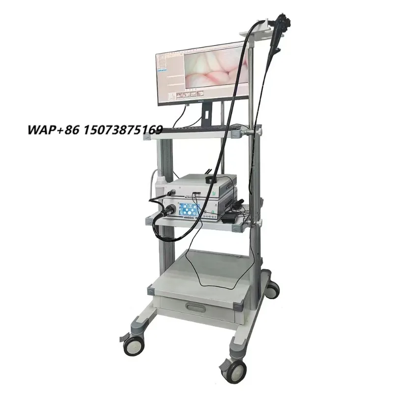 Veterinary clinical endoscopes with flexible range - ultrasound and electronics
