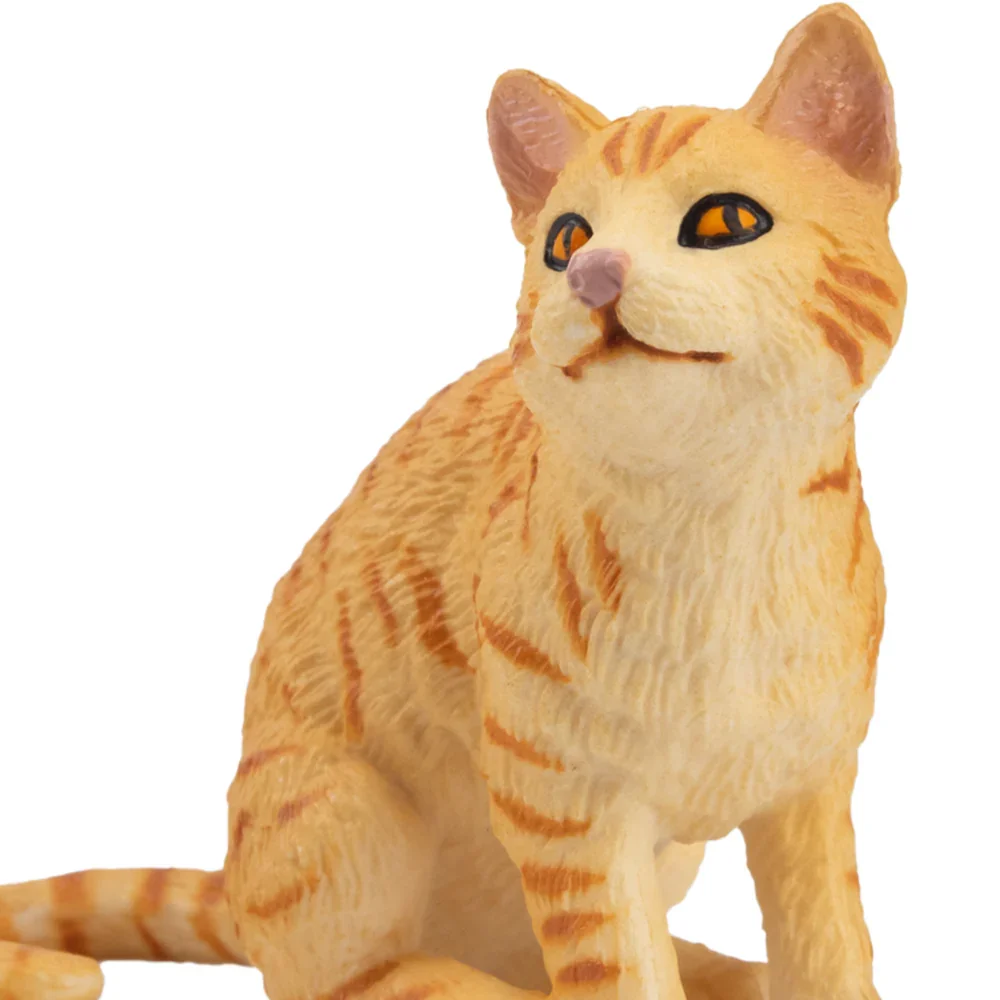 Toymany محاكاة البرتقال Wirehair القط الحيوانات الأليفة نماذج للحيوانات لعبة شخصيات صغيرة دمى عمل التماثيل لعب الأطفال هدية كعكة ديكورا
